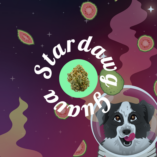 Stardawg Guava Delta 8 Flower